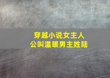 穿越小说女主人公叫温暖男主姓陆