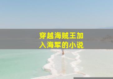 穿越海贼王加入海军的小说