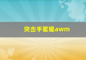 突击手蜜獾awm