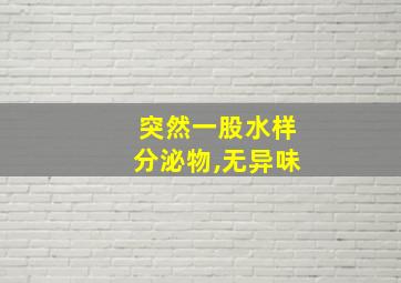 突然一股水样分泌物,无异味