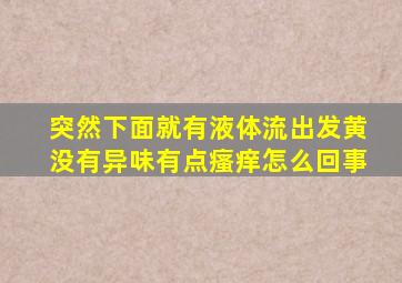 突然下面就有液体流出发黄没有异味有点瘙痒怎么回事