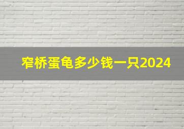 窄桥蛋龟多少钱一只2024