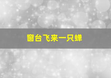 窗台飞来一只蝉