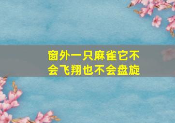 窗外一只麻雀它不会飞翔也不会盘旋