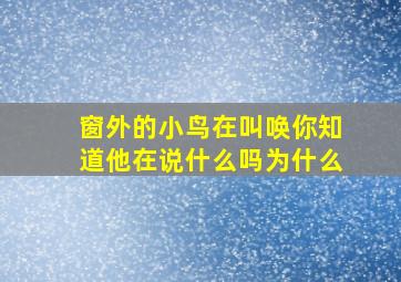 窗外的小鸟在叫唤你知道他在说什么吗为什么