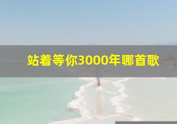 站着等你3000年哪首歌