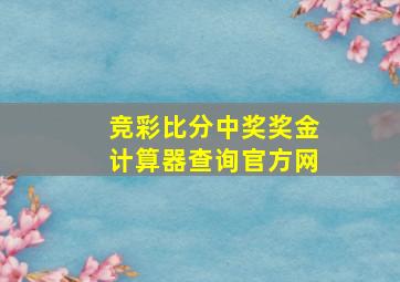 竞彩比分中奖奖金计算器查询官方网