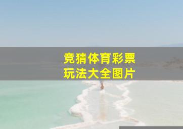 竞猜体育彩票玩法大全图片