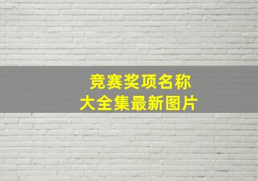 竞赛奖项名称大全集最新图片