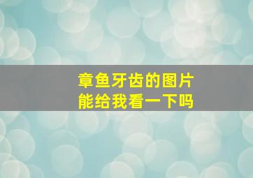 章鱼牙齿的图片能给我看一下吗