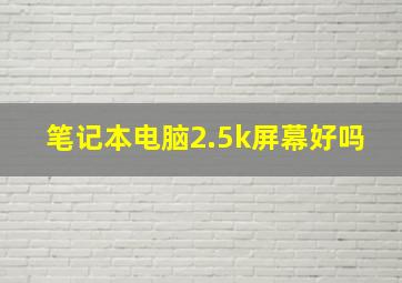 笔记本电脑2.5k屏幕好吗