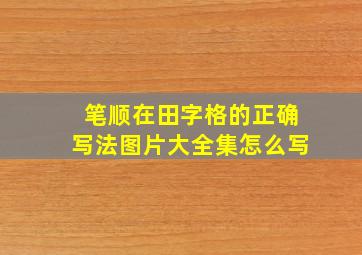 笔顺在田字格的正确写法图片大全集怎么写