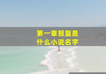 第一章报复是什么小说名字