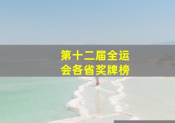 第十二届全运会各省奖牌榜