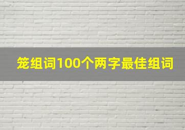 笼组词100个两字最佳组词