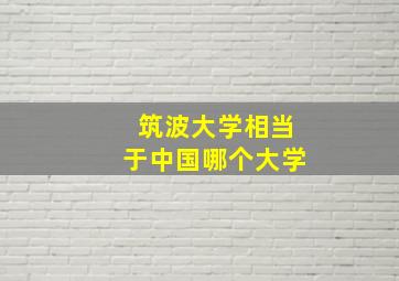 筑波大学相当于中国哪个大学