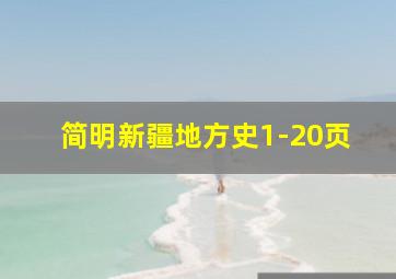 简明新疆地方史1-20页