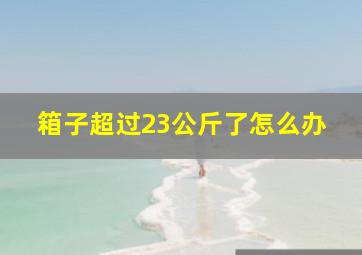 箱子超过23公斤了怎么办