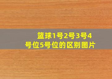 篮球1号2号3号4号位5号位的区别图片