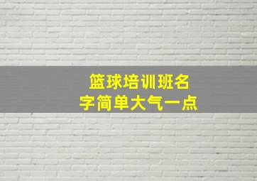 篮球培训班名字简单大气一点