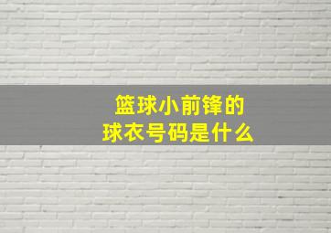 篮球小前锋的球衣号码是什么