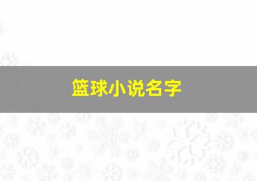 篮球小说名字