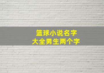 篮球小说名字大全男生两个字