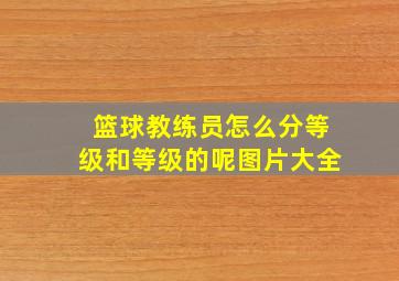 篮球教练员怎么分等级和等级的呢图片大全