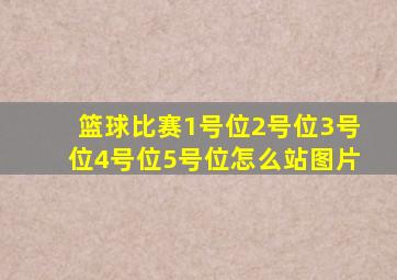 篮球比赛1号位2号位3号位4号位5号位怎么站图片