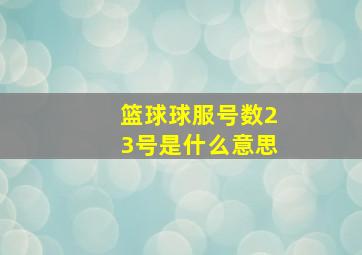 篮球球服号数23号是什么意思