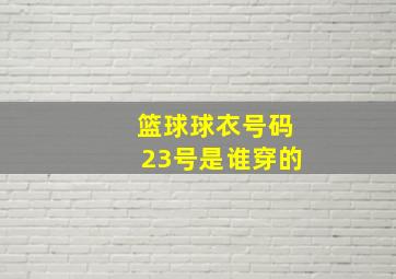 篮球球衣号码23号是谁穿的