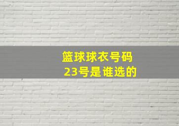 篮球球衣号码23号是谁选的