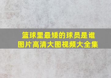 篮球里最矮的球员是谁图片高清大图视频大全集