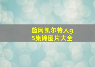 篮网凯尔特人g5集锦图片大全