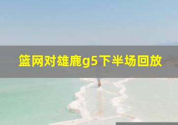 篮网对雄鹿g5下半场回放