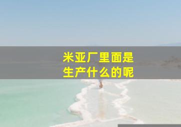 米亚厂里面是生产什么的呢