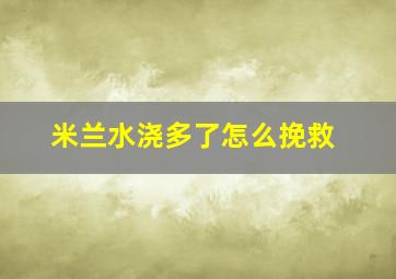 米兰水浇多了怎么挽救