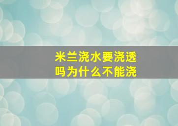 米兰浇水要浇透吗为什么不能浇