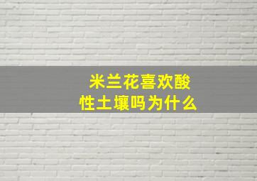 米兰花喜欢酸性土壤吗为什么