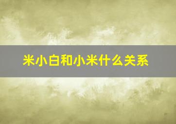 米小白和小米什么关系