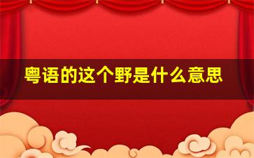 粤语的这个野是什么意思