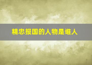 精忠报国的人物是谁人