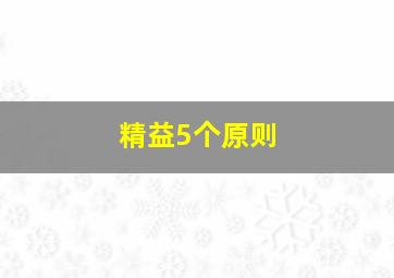 精益5个原则