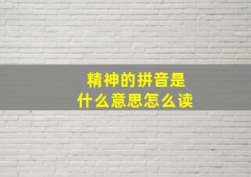 精神的拼音是什么意思怎么读