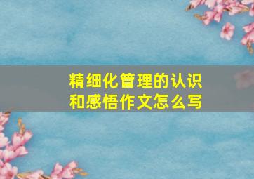 精细化管理的认识和感悟作文怎么写