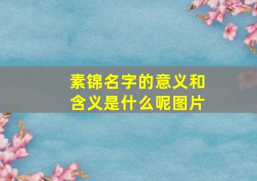 素锦名字的意义和含义是什么呢图片