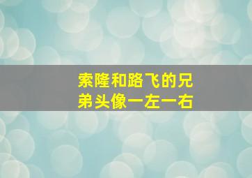 索隆和路飞的兄弟头像一左一右