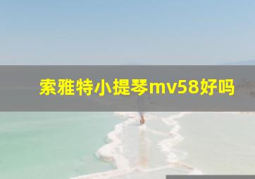 索雅特小提琴mv58好吗