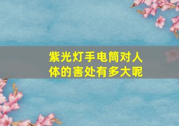 紫光灯手电筒对人体的害处有多大呢