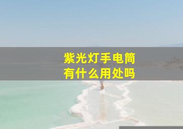 紫光灯手电筒有什么用处吗